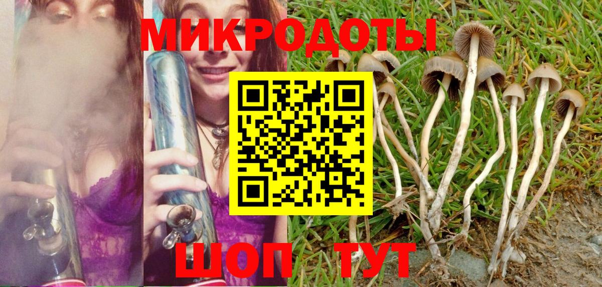 Галлюциногенные грибы Psilocybine cubensis  Вход с VPN  Шали 