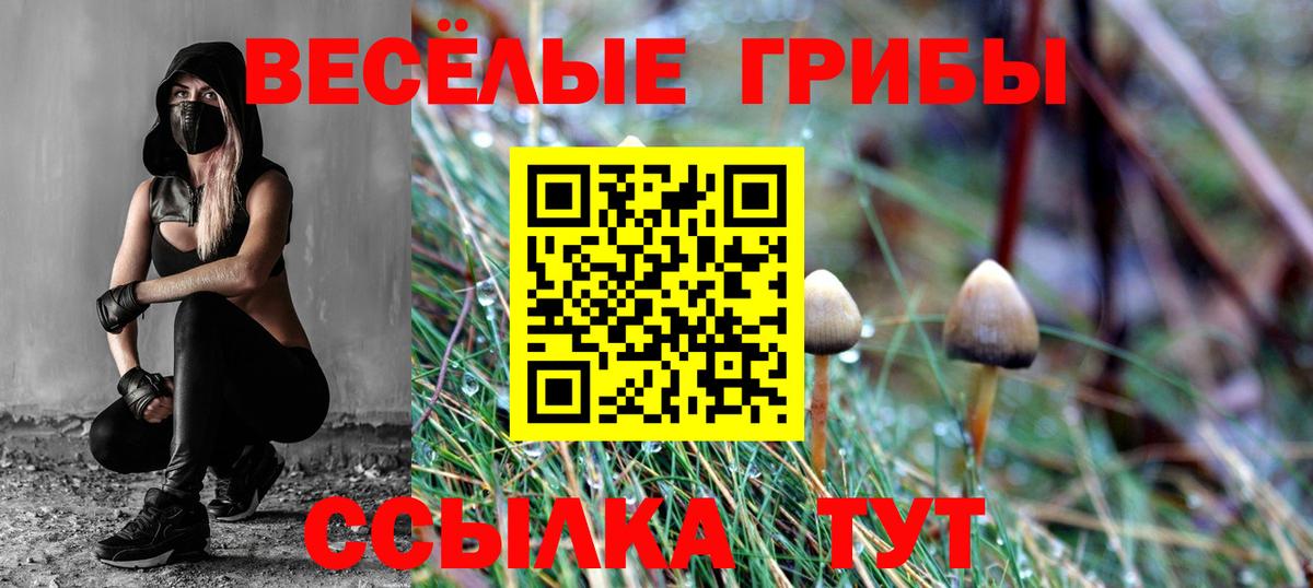 Псилоцибиновые грибы мухоморы Шали